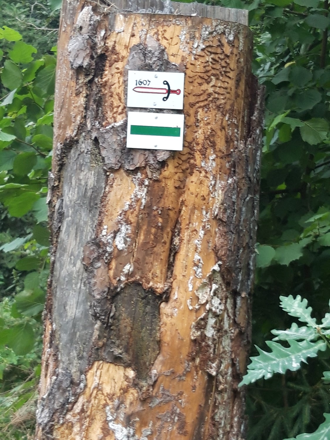 Wegemarkierungen