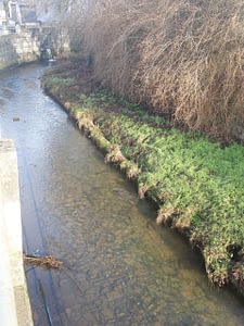 Einmündung des Wassers aus der Pegnitzquelle